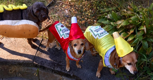 Halloween Marketing